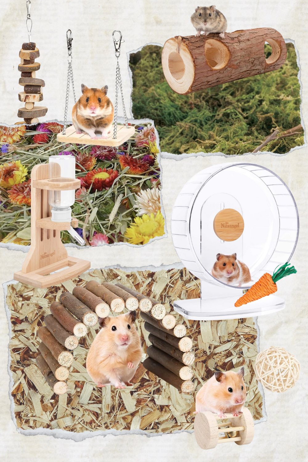 Aesthetic Hamster Cage Items and Accessories